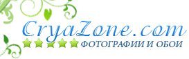  CryaZone.com  2010 
